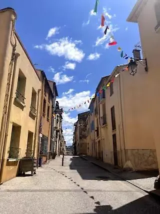 Plein Coeur D'argeles Sur Argeles-sur-Mer